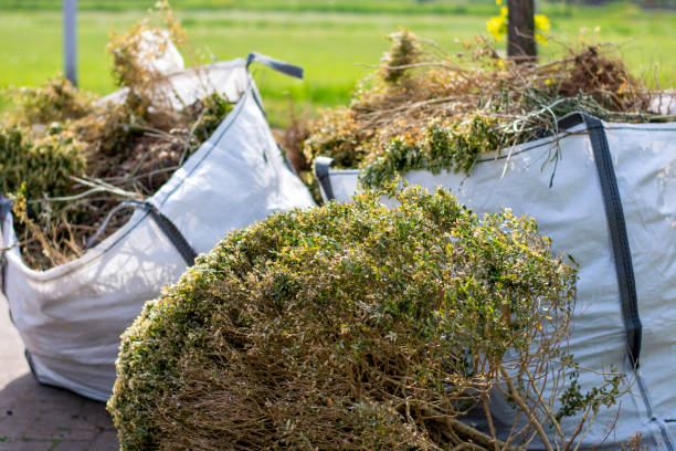 Best Furniture Removal  in Applewood, CO